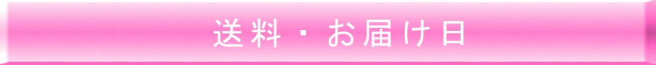 送料・お届け日