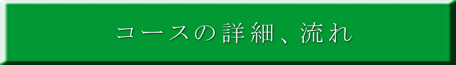 �R�[�X�̏ڍׁA����