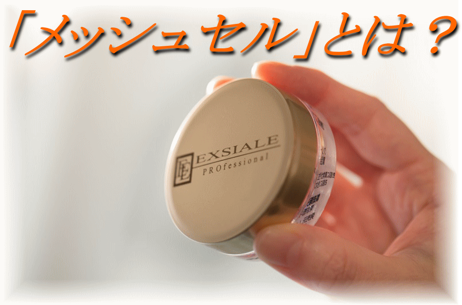 EXSIALE／無色ファンデーション-