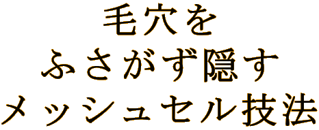 毛穴を ふさがず隠す メッシュセル技法