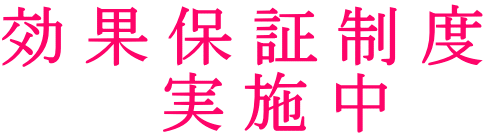 効果保証制度 　実施中
