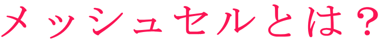 メッシュセルとは?