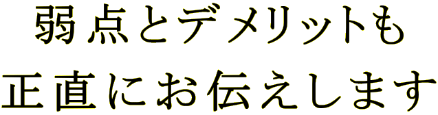 弱点とデメリットも 正直にお伝えします