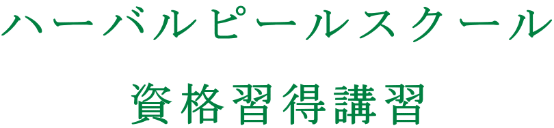 �n�[�o���s�[���X�N�[�� ���i�K���u�K