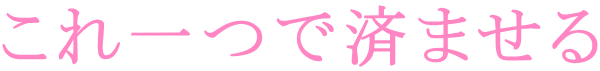 これ一つで済ませる